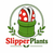 SlipperPlants – Inicio